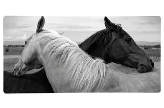 Обігрівач HGlass IGH 6012