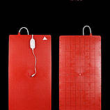 Килимок 55*100 для обігріву поросят підігрів для кроликів кошенят цуценят з двома вимикачами подвійна лінія, фото 2