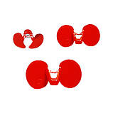 Окуляри для кур великої породи півнів Окуляри проти розкльову., фото 2