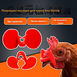 Окуляри для кур великої породи півнів Окуляри проти розкльову., фото 5