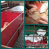 Килимок 55*100 для обігріву поросят курчат килимок для обігріву тварин, фото 2