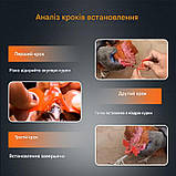 Окуляри для кур великої породи півнів Окуляри проти розкльову., фото 4