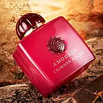 Amouage Crimson Rocks парфумована вода 100 ml. (Амуаж Крімсон Рокс), фото 4