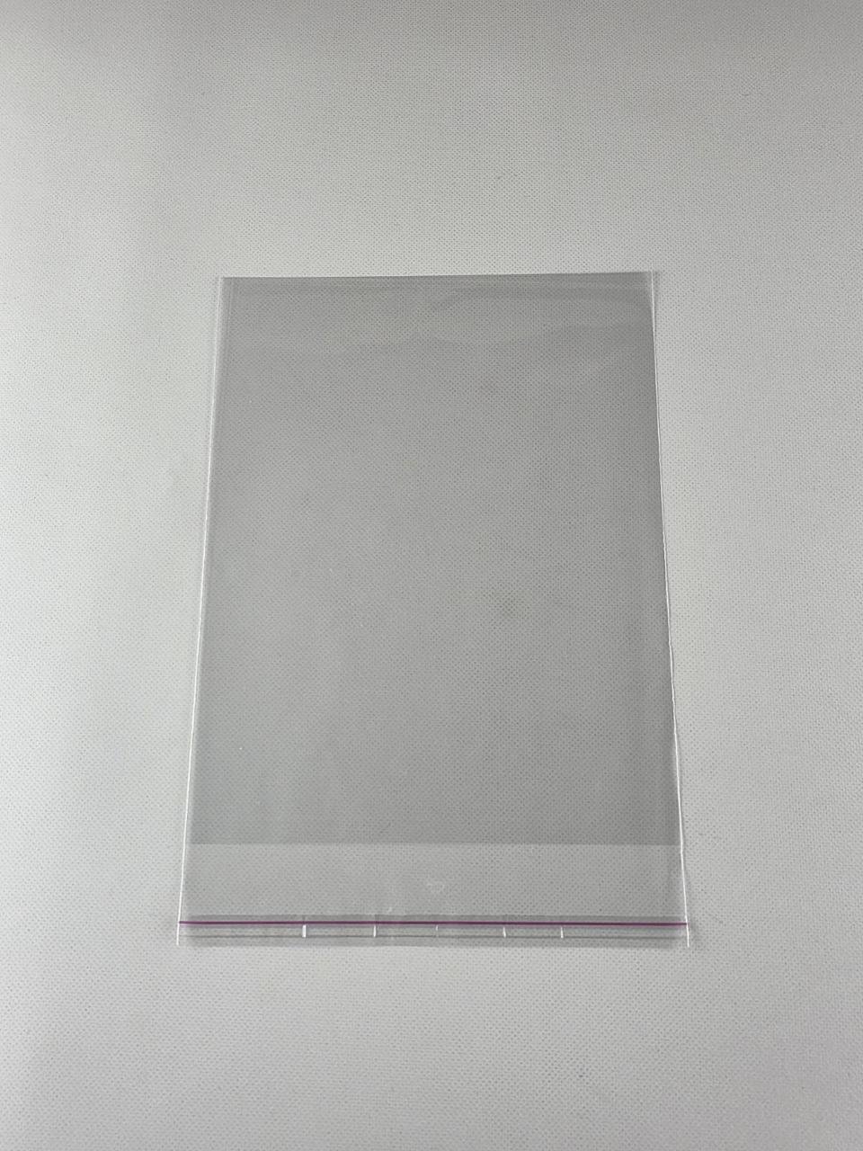 Пакети з клейкою стрічкою 20см x 26см, ТМ Майстер-ПАК, 25 мкм, упаковка 1000 штук, прозорі (84287684256), фото 1