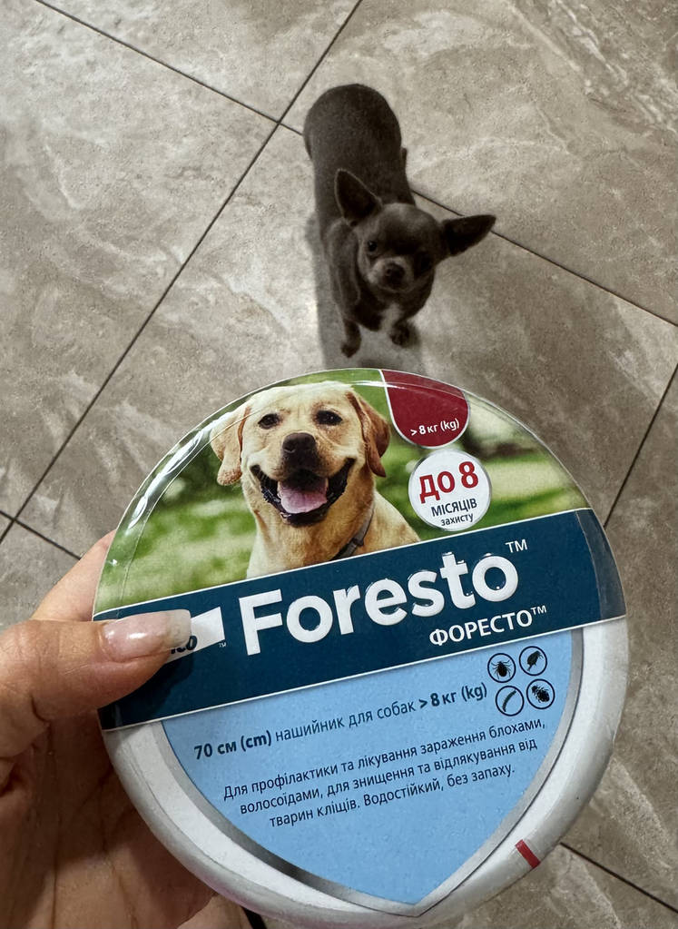 Ошейник Foresto (Форесто) 70 см от блох и клещей для собак больших пород Elanco (срок годности до 07.2028 г) - фото покупателей 1