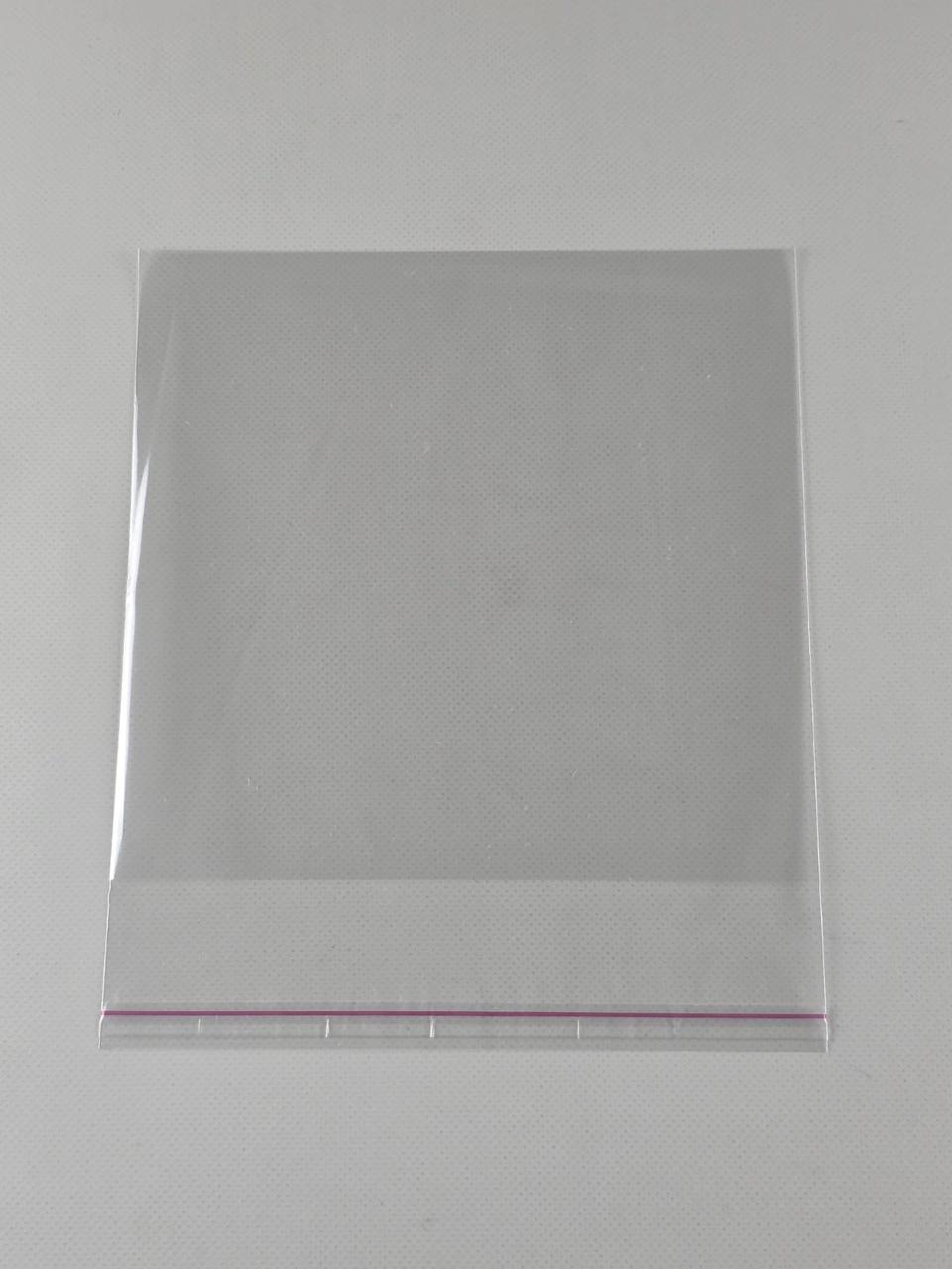 Пакети з клейкою стрічкою 18см x 17,5см, ТМ Майстер-ПАК, 25 мкм, упаковка 1000 штук, прозорі (1864168761), фото 1