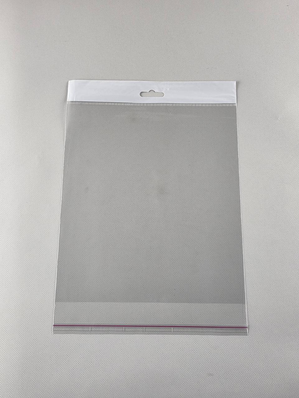 Пакет з еврослотом і липкою стрічкою 22см 25см (1000шт), фото 1