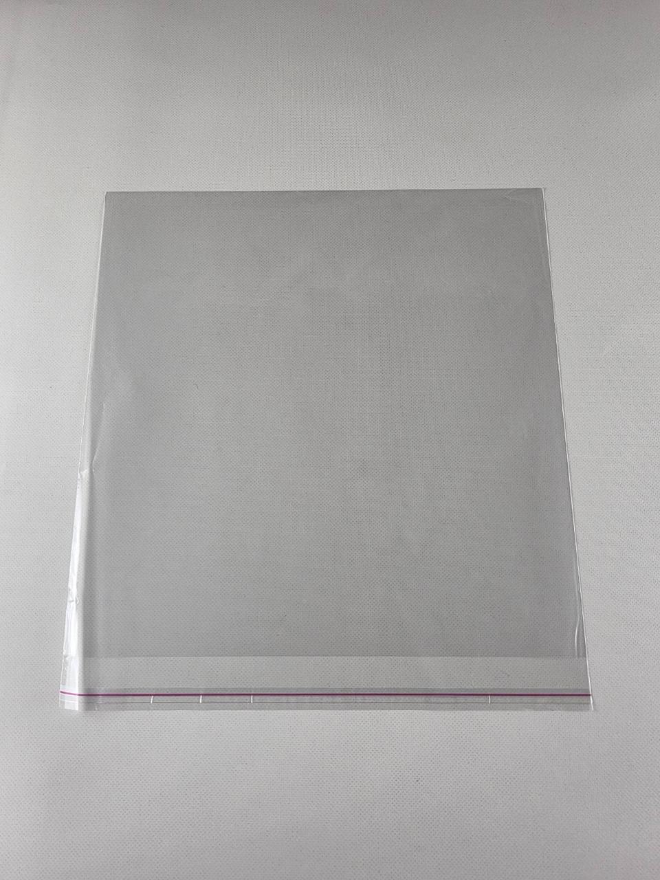 Пакет з еврослотом і клейовим клапон 31см 32,5 см 25мк (1000 шт), фото 1