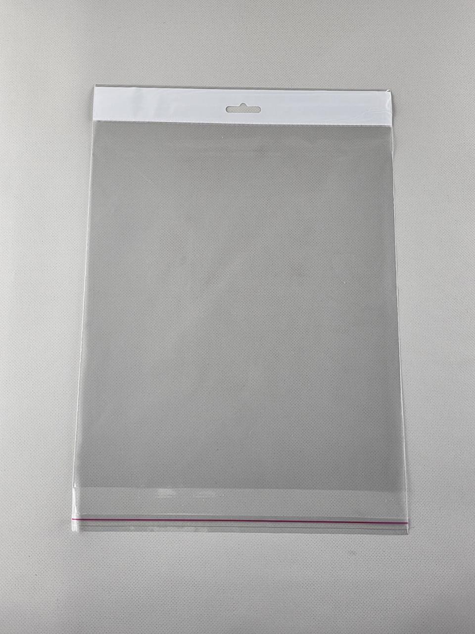 Пакет з еврослотом і липкою стрічкою 25см 30см 25мк (1000шт), фото 1