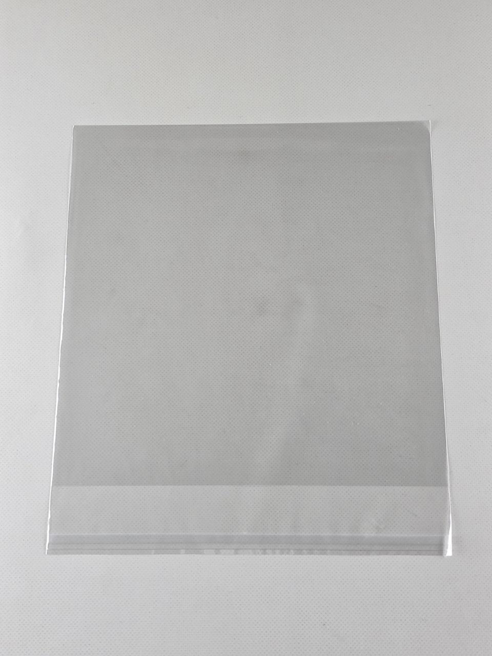 Пакети з клейкою стрічкою 23см x 23см, ТМ Майстер-ПАК, 25 мкм, упаковка 1000 штук, прозорі (8462876882), фото 1