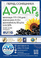 Соняшник Долар (Сумо). 55ц/га, 112 днів, олія 52%, A-G+. Преміум фракція, фото 8