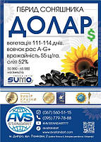 Долар (Сумо) 55ц/га, олія 52%, A-G+, 112 днів, Фракція Екстра, фото 9