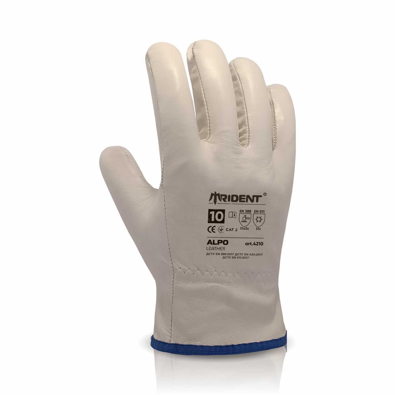 Рукавички шкіряні утеплені TRIDENT ALPO 4211,р.11
