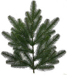 Гілка лита Альпійська на 7 тіпсів Квазар