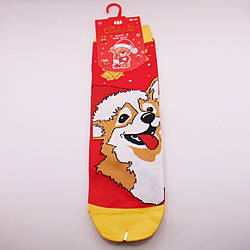Новорічні шкарпетки жіночі 36-41 червоні Coalo 6323