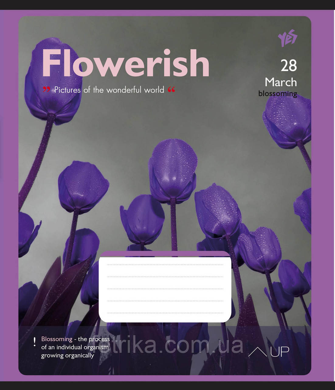 Зошит А5 48 Лін. YES Flowerish, фото 1