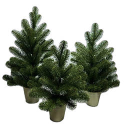 Ялинка лита Альпійська 50 см Квазар