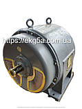 Двигун високовольтний АЕ-113-4У, фото 4