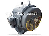 Двигун високовольтний АЕ-113-4У, фото 6