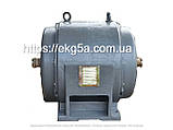 Двигун високовольтний АЕ-113-4У, фото 8
