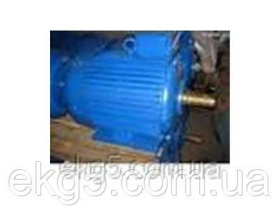 Електродвигун 4АМ-160М4, фото 1
