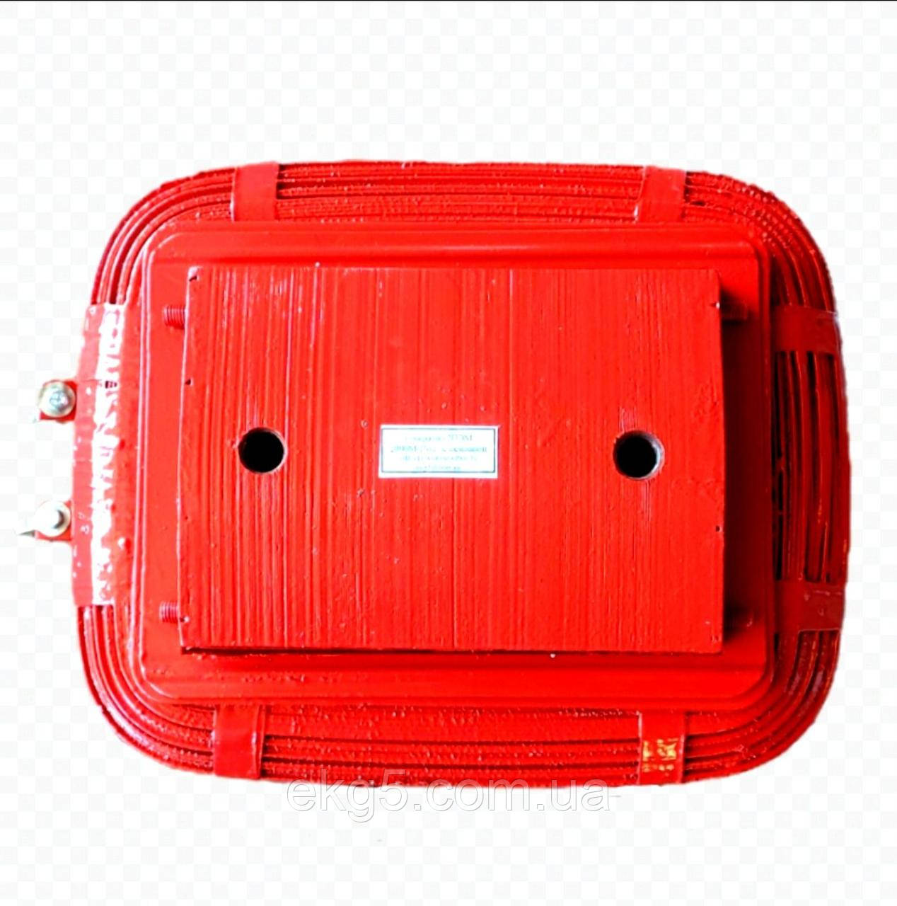 Котушка основного та додаткового полюса генератора V2 ПЕМ 2000 і 4ГПЕМ 220 кВт, фото 1