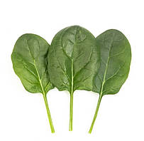 Евріно F1 - насіння шпинату, 500г., Libra Seeds