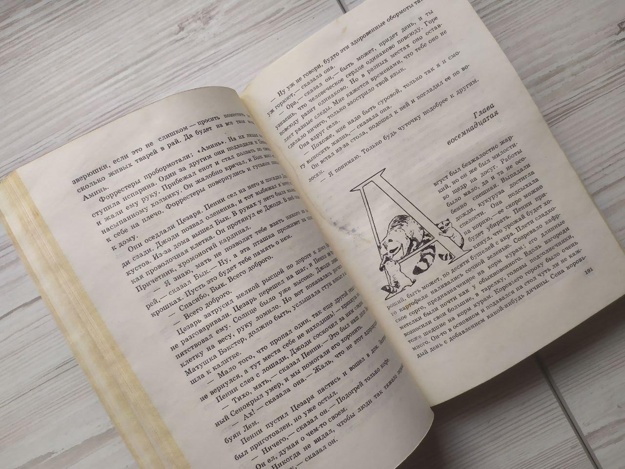 Product image preview