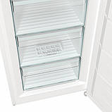 Морозильна камера Gorenje FN619EEW5, фото 10