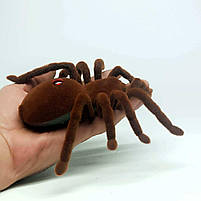 Павук на радіокеруванні 787 — ІЧ керування, світло, рухається, 16 см, коробка, фото 2