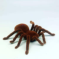 Павук на радіокеруванні 787 — ІЧ керування, світло, рухається, 16 см, коробка, фото 8