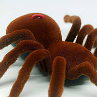 Павук на радіокеруванні 787 — ІЧ керування, світло, рухається, 16 см, коробка, фото 3