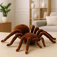 Павук на радіокеруванні 787 — ІЧ керування, світло, рухається, 16 см, коробка, фото 4