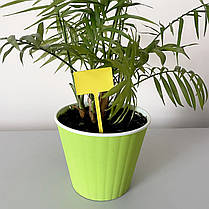 Маркувальні таблички для рослин AMMA No3 5х3 см жовті на ніжці 10 см (10 шт.), фото 5