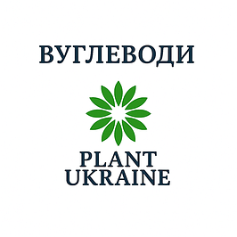 Вуглеводи | Carbohydrates