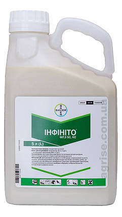 Фунгіцид Інфініто 61 SC, 687,5  Bayer 1л (розлив), фото 1