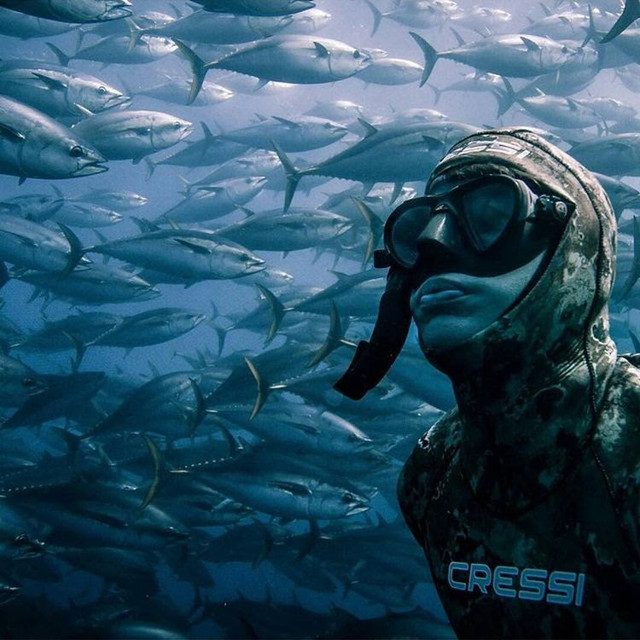 Спорядження для підводного полювання Спорядження для підводного полювання