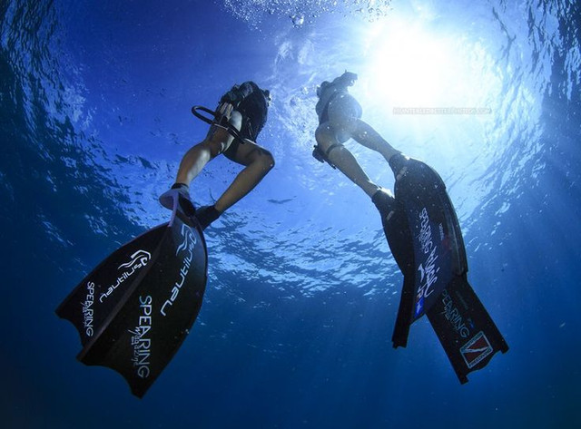 Спорядження для підводного полювання Спорядження для підводного полювання