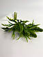 Декоративна гілка для композицій 03951, фото 2