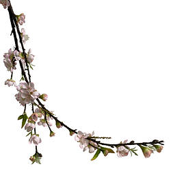 Декоративна гілка яблуневий цвіт YZH100