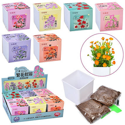 Набір "Ботанічні Експерименти"