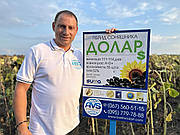 Гібрид соняшника Долар (Сумо) від компанії виробника "АВС СТАНДАРТ"