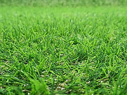 Трава Декоративна Landgrass 20мм, фото 4