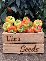 Рубікон F1 - насіння солодкого перцю, 1000нас., Libra Seeds