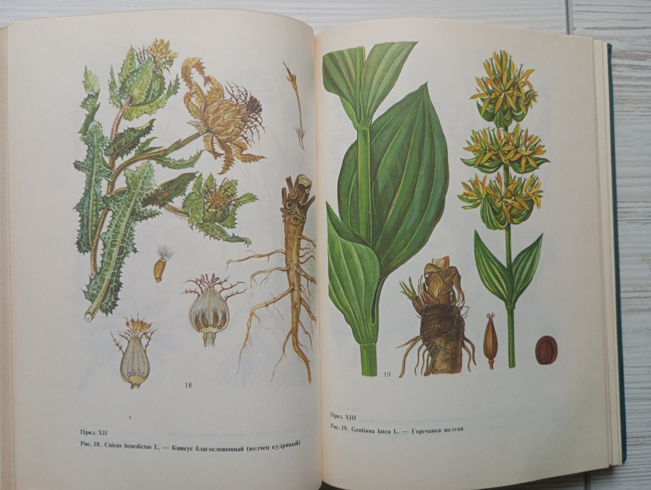 Product image preview