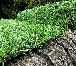 Трава Декоративна Landgrass 30мм, фото 5