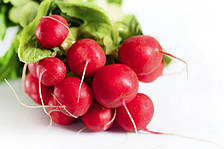 Медісон F1 - насіння редису, 50 000нас., (фракція 2.6-3мм) Libra Seeds