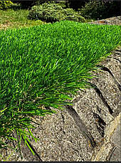 Декоративне штучне покриття з ворсом 40 мм Landgrass 40мм, фото 2