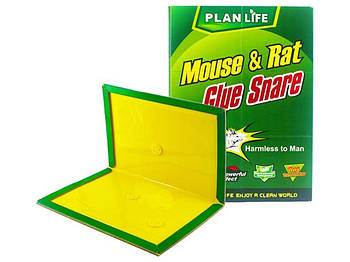 Клейова пастка від гризунів і комах картонна книга WL-477 (200)