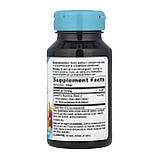 Sytrinol - 60 softgels, фото 2